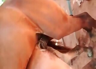 Stallion gets his cock teased by dirty-minded perverts in a hot scene