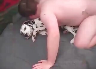 Animal sex obsessed fellow bonks pussy of his female dalmatian dog