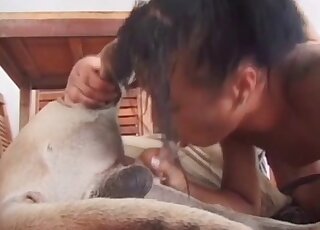 Hot-assed wife teases her dog and bounces on its cock ardently