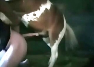 Horses loving pervert gets screwed by a stallion in a wild zoo scene