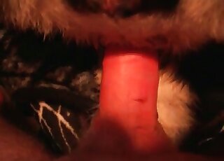 Animal sex lover drills his dog in a closeup zoophilia porno video