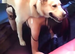 Mature in sexy lingerie likes to get licked and pounded by her dog