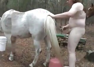 Naughty guy comes up to a nice horse to stuff its pussy with his penis