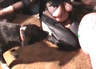 Sex starving mature slut enjoys zoo sex with a dog and sucks its cock