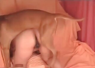 Chubby slut loves her dog’s impressive cock smashing her needy twat