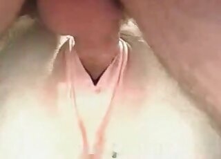 Dirty-minded guy finds a pony’s pussy really perfect for zoo fucking