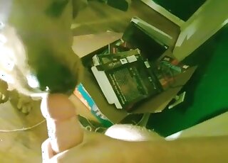 Zoophile takes a closeup video of his dog giving him some oral