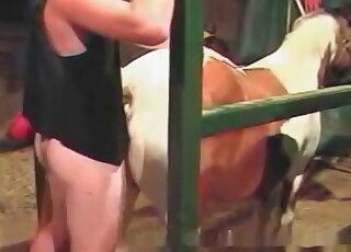 Horse endures thick throbbing penis of a wild zoophile dude