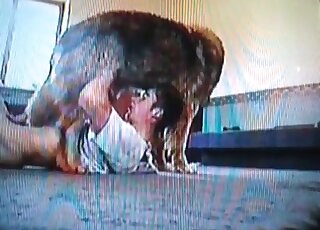 Nerdy fellow gives a blowjob to his dog to get some relaxation