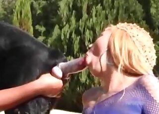 Frisky mature lady doesn’t mind sucking dog’s cock to get satisfaction