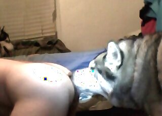 Slutty mature gets pounded by her dog and gets ass properly licked