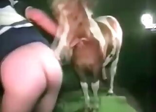 Nasty dude is eager to get fucked in the ass by a horny stallion