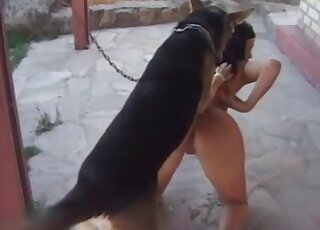 Glamorous wife gets naked to tempt a dog and to get smashed