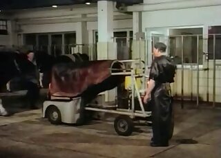 Fetishistic farmer cannot wait to give this animal a gay handjob