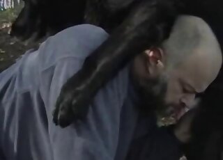 Nasty doggystyle action outdoors with a very hung black doggo