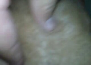 Closeup domination session with a sexy animal that wants orgasms