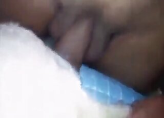 Hot human cock expanding that dog box in male bestiality XXX