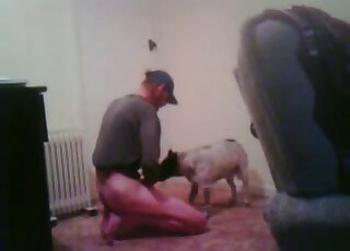 Dude's hard cock is invading that gorgeous animal pussy in a sex tape