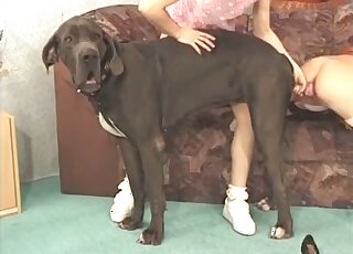 Skinny European babe shares black dog cock with her girlfriend