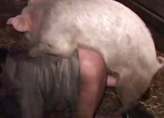 Zoophilic lady in dirty clothes fucked on all fours by a sexy pig