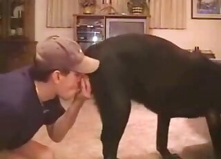Zoophile in a blue shirt and a baseball cap fucks black dog anally