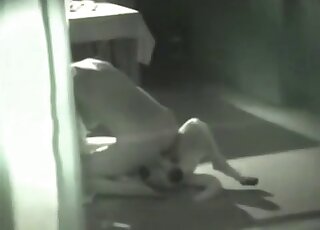 Lady with a hairless vagina riding dog cock on the floor to orgasms