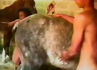 Zoophilic couple taking care of business in a farm bestiality video