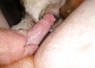 Dude showing his cock and inserting it into a very tight fuckhole
