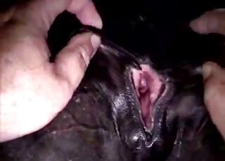 Twisted porn movie showing a black stallion and hot mare pussy