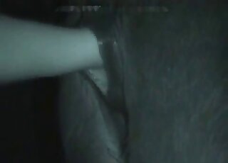 Fisting porn movie with a guy that fists a mare that wants hard sex