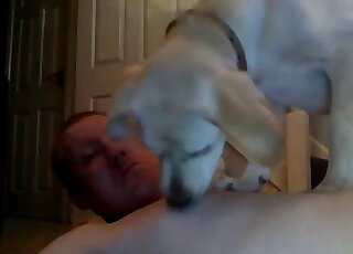 Amazing porno movie with a guy that lets a dog lick his sensitive nips