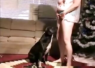 Buttfuck scene featuring a horny babe that loves zoophilic anal